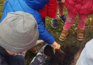 dzieci zasypują ziemią dół, w którym zasadzone jest drzewko